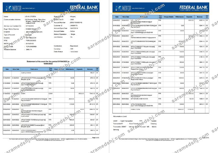 India Federal bank account statement 3 pages